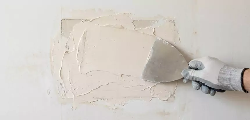 Professional Mold and Drywall Repair Services in Morganton, GA