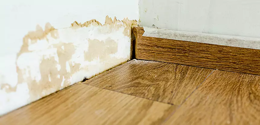 Professional Fix Water Damaged Wood Services in Morganton, GA